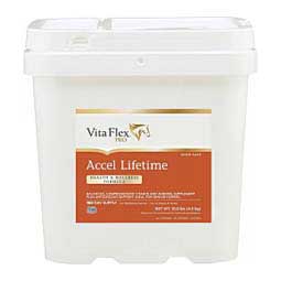 Accel Lifetime Health & Wellness Formula for Horses Vita Flex Nutrition